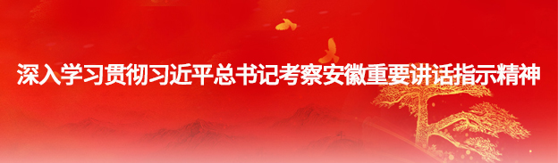 深刻进建贯彻习近平总书记调查安徽沉要讲话批示心灵
